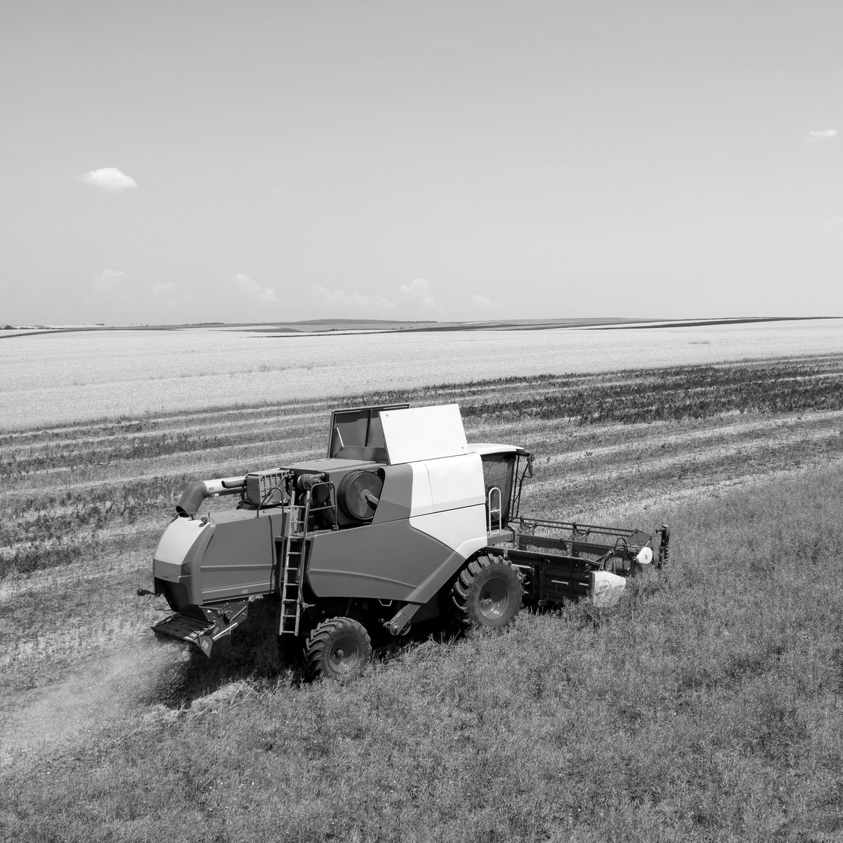 Mezőgazdasági kombájn arat a búzamezőn, amely a gazdaságátadás pályázat keretében fejlesztett modern agrártechnológia eredménye. A kép a gazdaságátadási szerződés gyakorlati hasznát mutatja a termelés hatékonyságának növelésében.